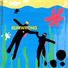 Sumwrong (CDS)