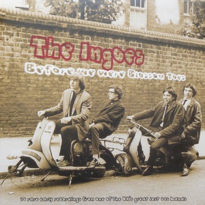 Before We Were Blossom Toes (Vinyl)