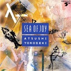 Atsushi Yokozeki - Sea Of Joy