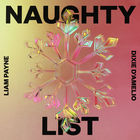Liam Payne - Naughty List (CDS)