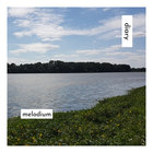 Melodium - Diary (CDS)