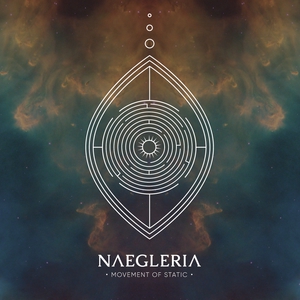 Naegleria