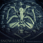 Snowbeasts - Transformation