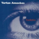Tartan Amoebas - Evolution