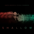 Garth Brooks & Trisha Yearwood - Shallow (CDS)