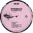 Intr0Beatz - Sthembiso's Way