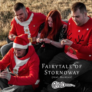 Fairytale Of Stornoway (CDS)