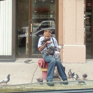 I Will Raise A Bird Army