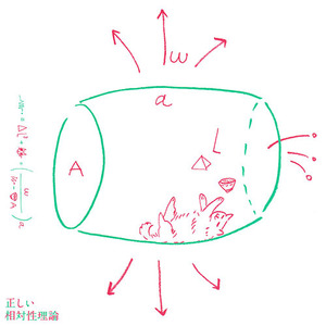 Tadashii Soutaiseiriron