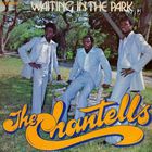 Waiting In The Park (Vinyl)