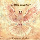 James Vincent - Waiting For The Rain (Vinyl)