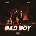 Bad Boy (CDS)