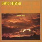 David Friesen - Amber Skies