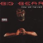 Big Bear - Now Or Never