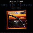Michael Shrieve - The Big Picture (With David Beal)