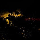 Naytronix - Naytronix