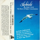 Upper Astral - Skybirds (Vinyl)