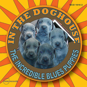 In The Doghouse