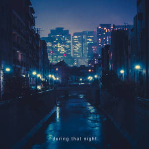During That Night (CDS)