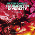 Peter Banks's Harmony In Diversity - The Complete Recordings CD6