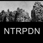 Ntrpdn
