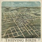Thieving Birds - Thieving Birds