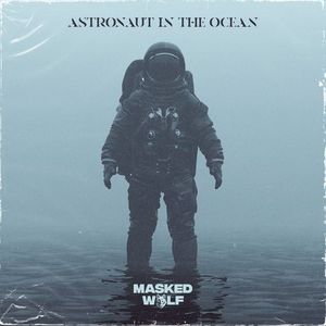 Astronaut In The Ocean (CDS)