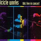 The Icicle Works - BBC Live In Concert