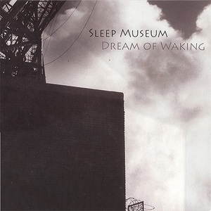 Dream Of Waking (Vinyl)