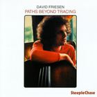 David Friesen - Paths Beyond Tracing (Vinyl)
