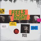 Biig Piig - Feels Right (CDS)
