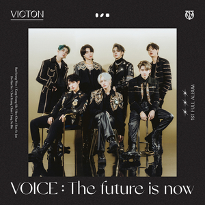 Voice : The Future Is Now