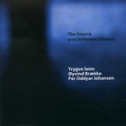 Trygve Seim - The Source And Different Cikadas (With Øyvind Brække & Per Oddvar Johansen)