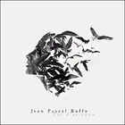Jean Pascal Boffo - Vol D'oiseaux
