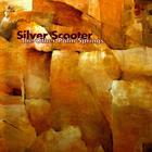 Silver Scooter - The Other Palm Springs