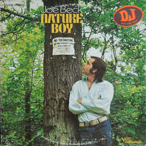 Nature Boy (Vinyl)