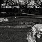 Hedvig Mollestad Trio - Ding Dong. You´re Dead.
