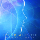 Liquid Mind - Liquid Mind Xiii: Mindfulness