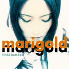 Mari Hamada - Marigold