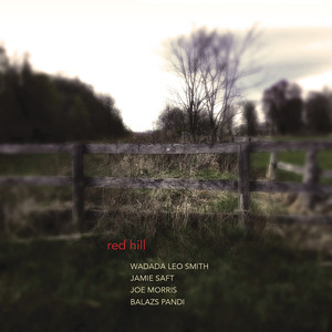 Red Hill (With Jamie Saft, Joe Morris, Balázs Pándi)
