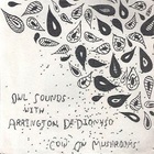 Owl Xounds - Cow On Mushrooms (With Arrington De Dionyso)