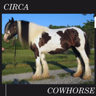 Circa - The Cowhorse