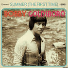 Bobby Goldsboro - Summer (The First Time) (Reissued 1977)