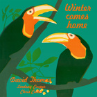David Thomas - Winter Comes Home (Vinyl)