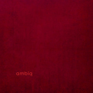 Ambiq (With Claudio Puntin & Samuel Rohrer)