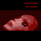 Ninja 9000 - Bit Awake