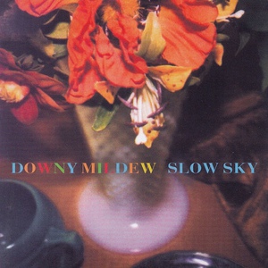 Slow Sky