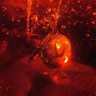 Dark Love (CDS)