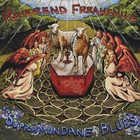Reverend Freakchild - Supramundane Blues CD1
