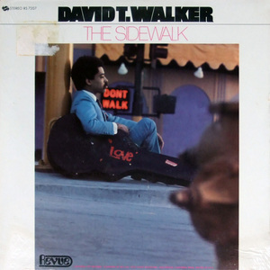 The Sidewalk (Vinyl)